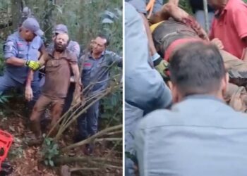Suspeito é atacado por quatro pitbulls ao tentar invadir chácara em Franca, SP
