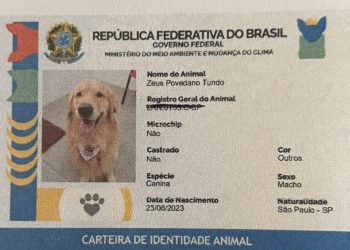 'RG Pet' permite identificação por QR Code e ajuda a localizar animais perdidos; veja os nomes mais registrados e saiba como fazer